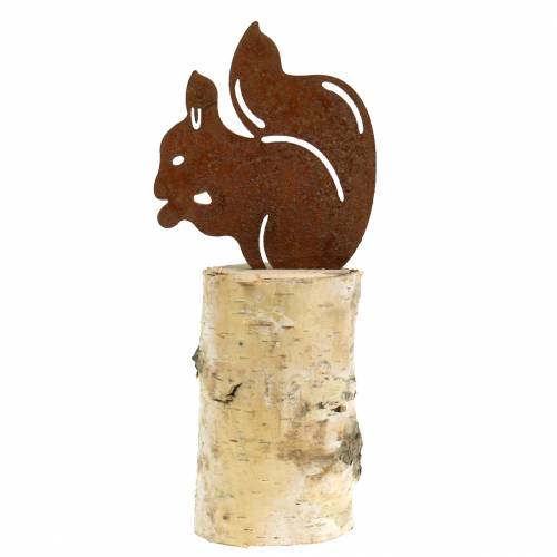 Floristik24 Squirrel patina on trunk H22cm