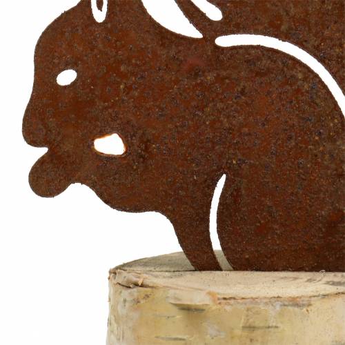 Floristik24 Squirrel patina on trunk H22cm