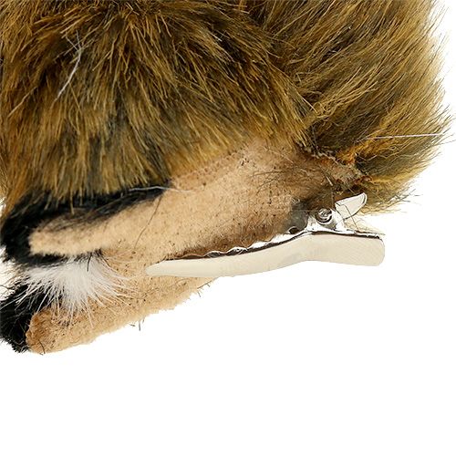 Floristik24 Squirrel on clip 8cm assorted colors 3pcs