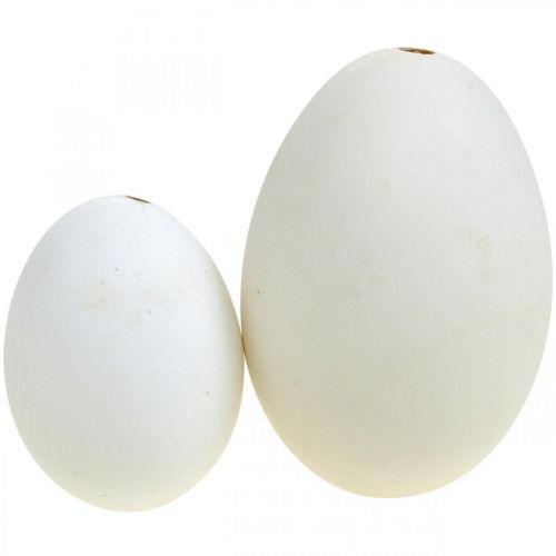 Product Swan eggs & chicken eggs mix blown out eggs white 5.5/8cm 9pcs