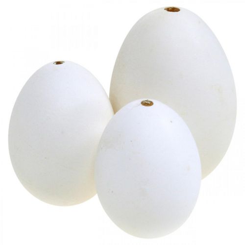 Product Swan eggs &amp; chicken eggs mix blown out eggs white 5.5/8cm 9pcs