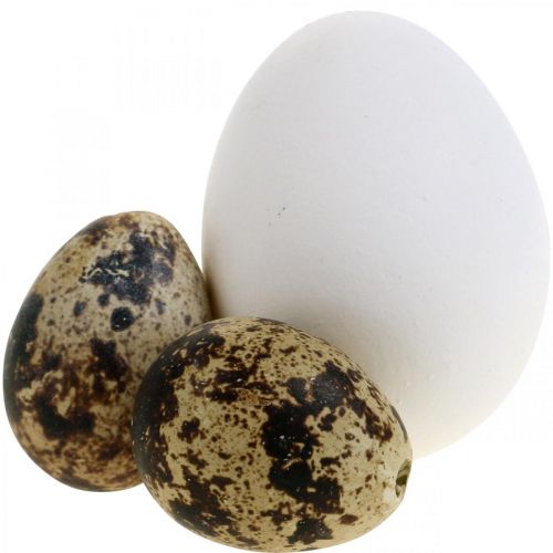 Floristik24 Decoration egg mix quail eggs &amp; chicken eggs Blown-out Easter eggs