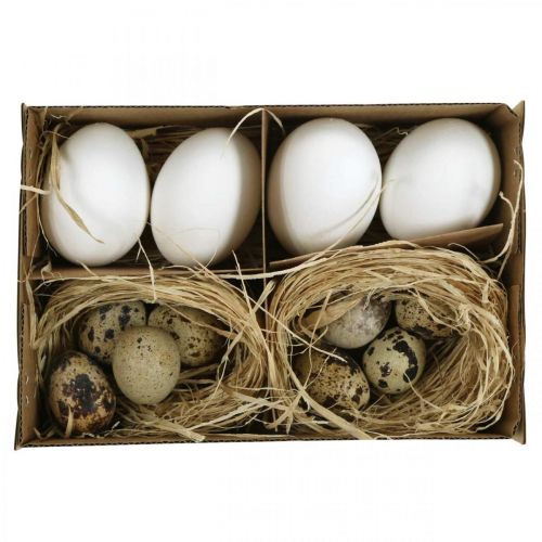 Floristik24 Decoration egg mix quail eggs &amp; chicken eggs Blown-out Easter eggs