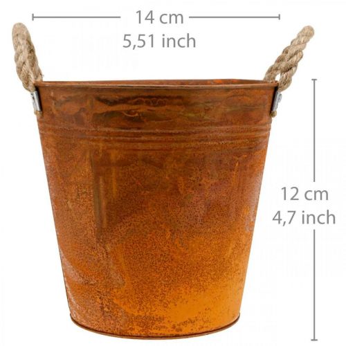 Floristik24 Plant pot, autumn decoration, metal vessel with patina Ø14cm H12cm
