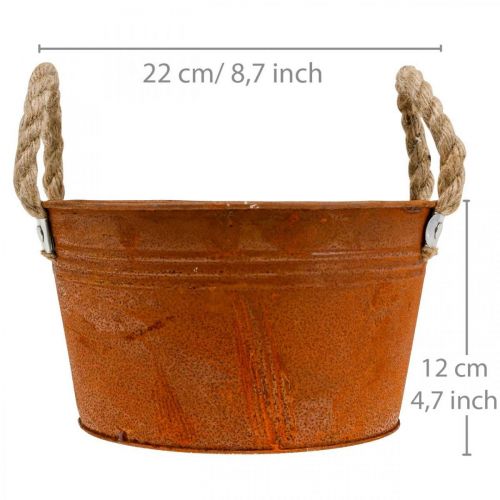Floristik24 Metal pot with rope handles, plant bowl, autumn, patina Ø22cm H12cm