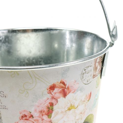 Floristik24 Plant bucket rose Ø17cm