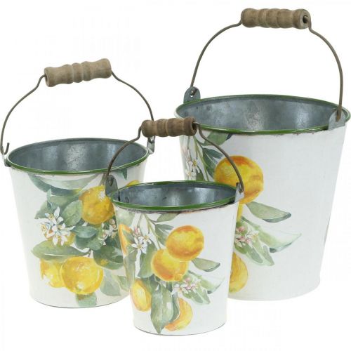 Floristik24 Decorative bucket lemons Mediterranean planter Ø13.5/11/9cm H14/11.5/cm set of 3