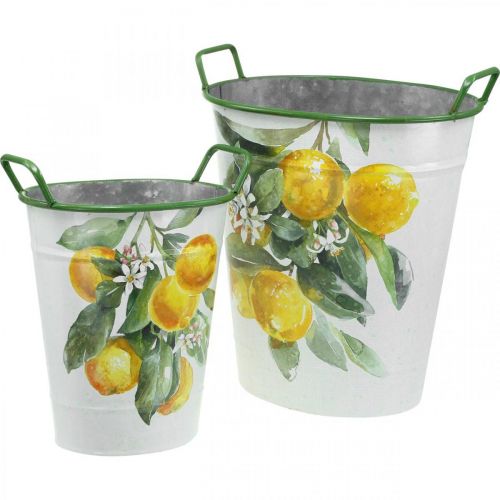 Floristik24 Mediterranean tin tub, planter with lemon motif white, green, yellow H43.5/34cm W36.5/27.5cm set of 2