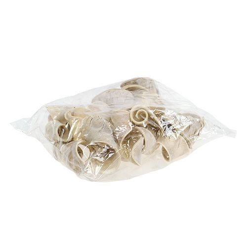 Product Elephant Ear Dried Bleached Flower Pods 7.5-10cm 25pcs