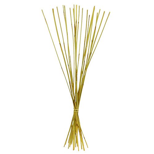 Floristik24 Decoration Rods, Elephant Reed Yellow 20pcs