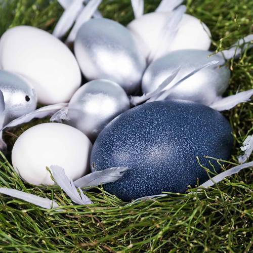 Floristik24 Emu egg nature 12cm - 14cm 1pc