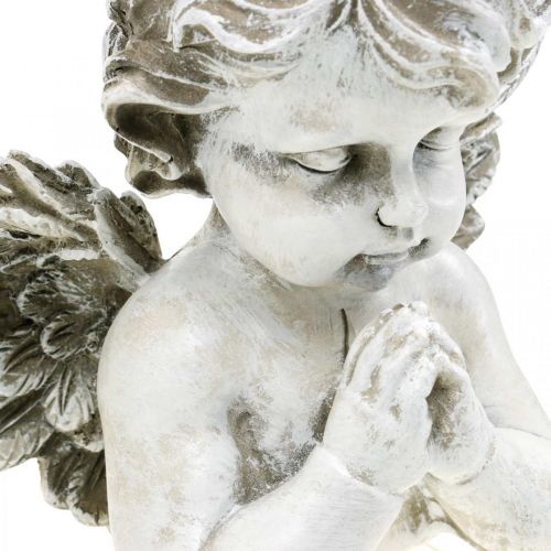 Floristik24 Praying angel, funeral floristry, bust of angel figure, grave decoration H19cm W19.5cm