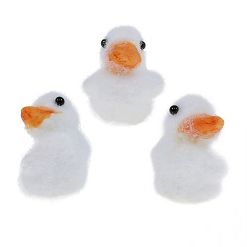 Floristik24 Duck mini flocked 4cm white 12pcs