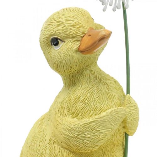Floristik24 Spring decoration, ducklings with dandelion, decorative figure H13.5cm