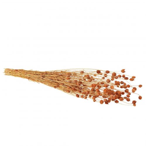 Product Strawberry Thistle Dried Flowers Thistle Decoration Terracotta 68cm 100g