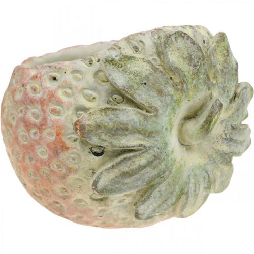 Product Decorative strawberry, plant pot, concrete decoration for planting L17cm