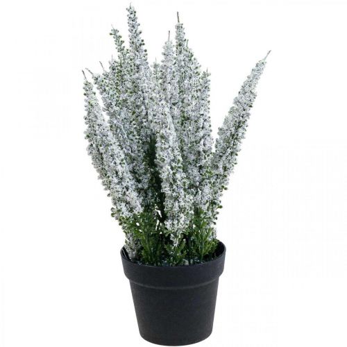 Floristik24 Erika white heather broom heather artificial plant H26cm