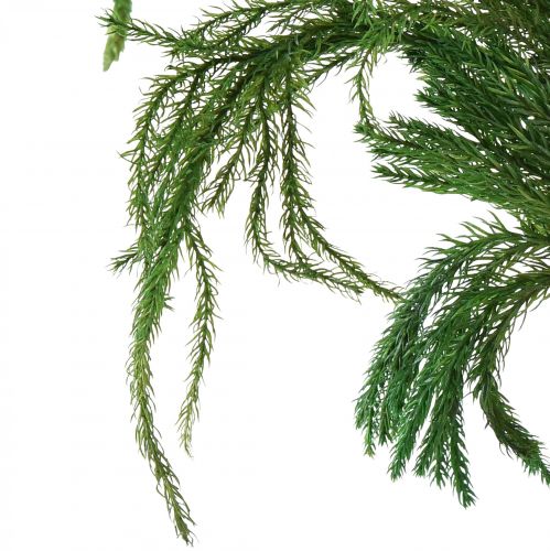 Product Erikamoos Deko Moss Green Natural Decoration Dried 20-35cm 400g