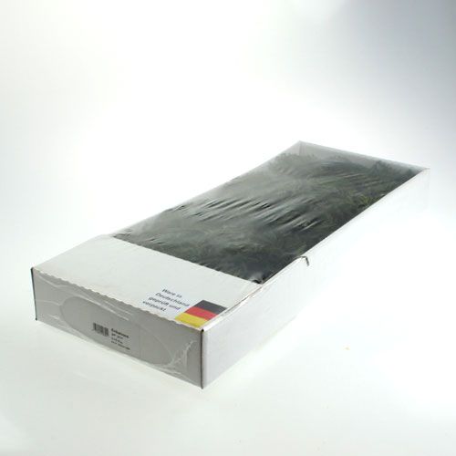 Floristik24 Erikamoos green 750gr