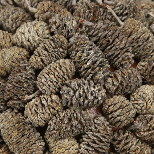 Product Alder cone decorative ball for hanging, white washed, 20 cm
