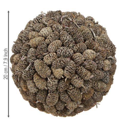 Product Alder cone decorative ball for hanging, white washed, 20 cm