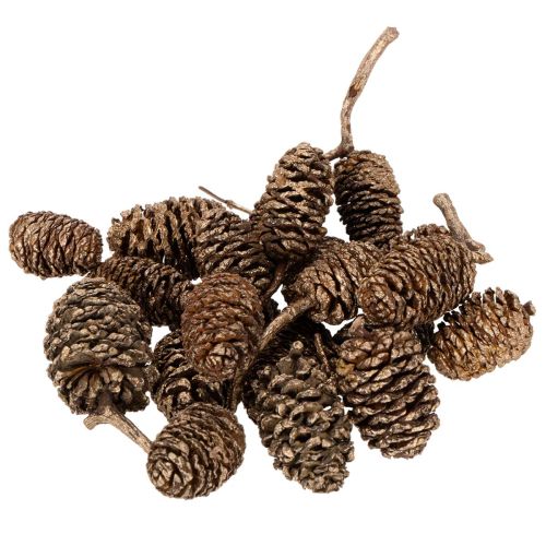 Natural Alder Cones with Gold Finish 3cm 300g for Home Decoration and Crafting