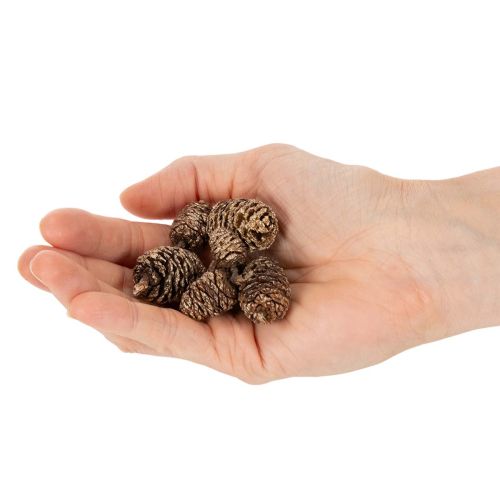 Natural Alder Cones with Gold Finish 3cm 300g for Home Decoration and Crafting | Floristik24.co.uk