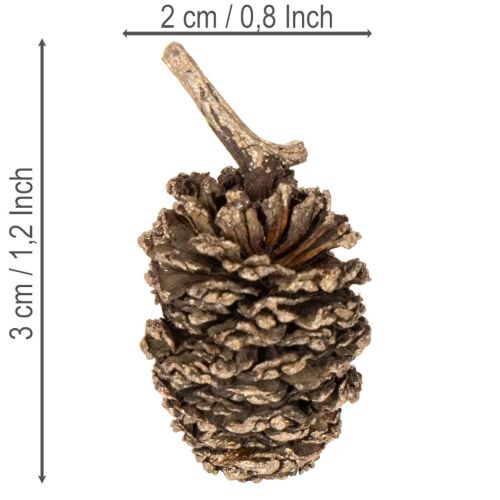 Natural Alder Cones with Gold Finish 3cm 300g for Home Decoration and Crafting | Floristik24.co.uk