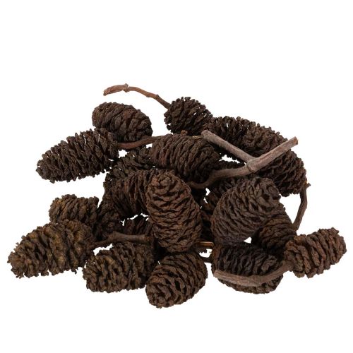 Natural Alder Cones Loose 3cm 300g Brown for Decoration