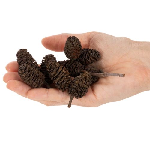 Natural Alder Cones Loose 3cm 300g Brown for Decoration | Floristik24.co.uk