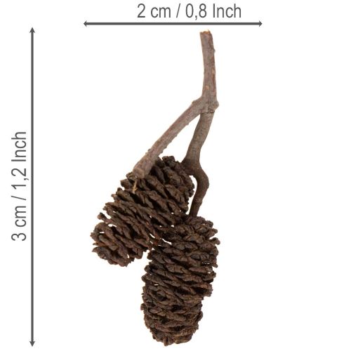 Natural Alder Cones Loose 3cm 300g Brown for Decoration | Floristik24.co.uk