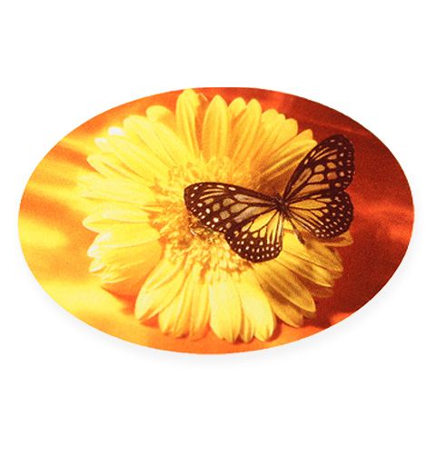 Labels butterfly 250pcs