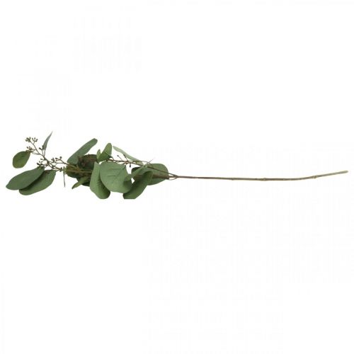 Floristik24 Artificial deco branch eucalyptus with buds artificial plant 60cm