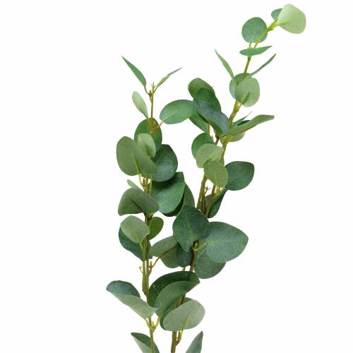 Floristik24 Eucalyptus branch 76cm
