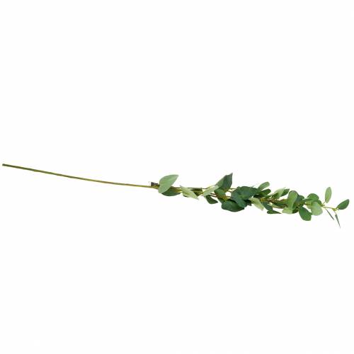 Floristik24 Eucalyptus branch 76cm