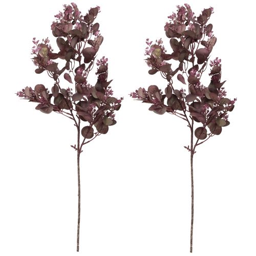 Product Decorative artificial branch Eucalyptus branch burgundy 66cm 2pcs