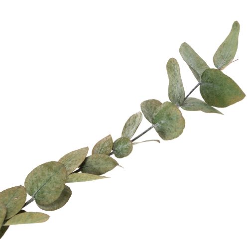 Product Preserved Eucalyptus Decorative Branches and Leaves, Round Dried Decoration, Green, 150g