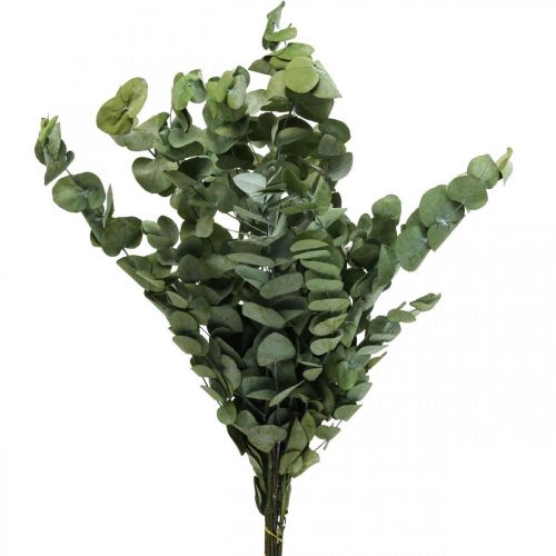 Product Eucalyptus Preserved Branches Leaves Round Green 150g
