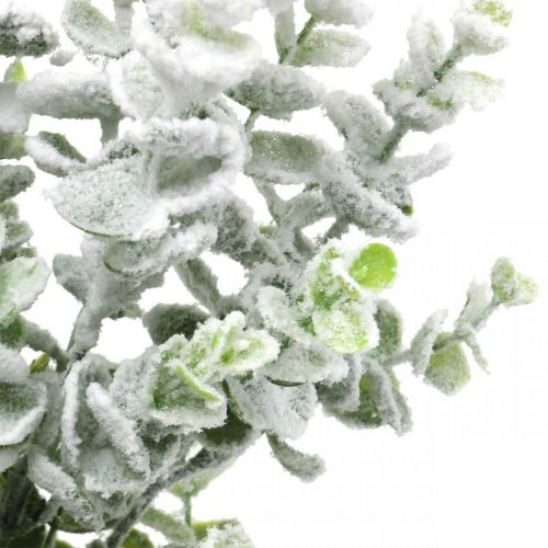 Product Artificial eucalyptus branch snowed deco branch eucalyptus Christmas 48cm