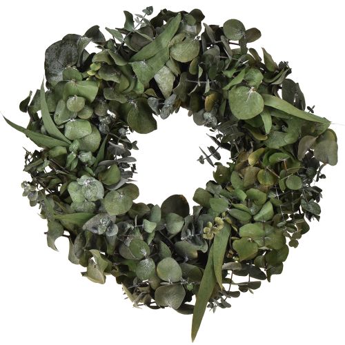 Product Eucalyptus wreath natural wreath eucalyptus preserved Ø35cm