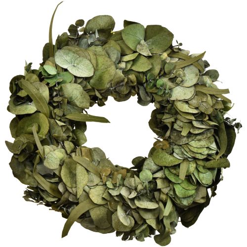 Floristik24 Eucalyptus wreath natural wreath eucalyptus preserved Ø35cm