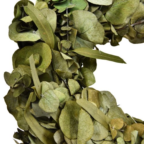 Floristik24 Eucalyptus wreath natural wreath eucalyptus preserved Ø35cm