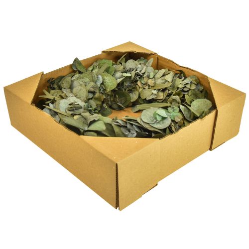 Floristik24 Eucalyptus wreath natural wreath eucalyptus preserved Ø35cm
