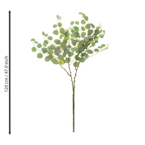 Product Decorative eucalyptus branch, ideal table decoration, 120cm