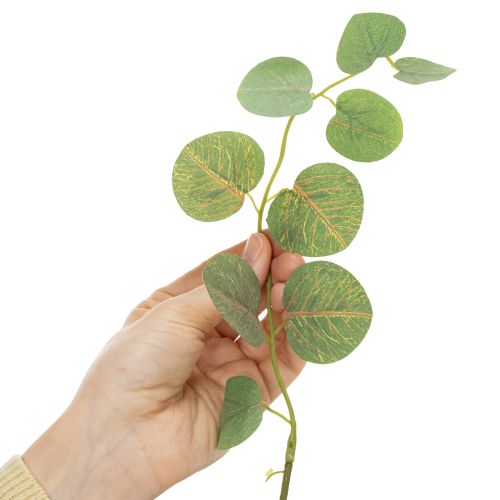 Product Decorative eucalyptus branch, ideal table decoration, 120cm