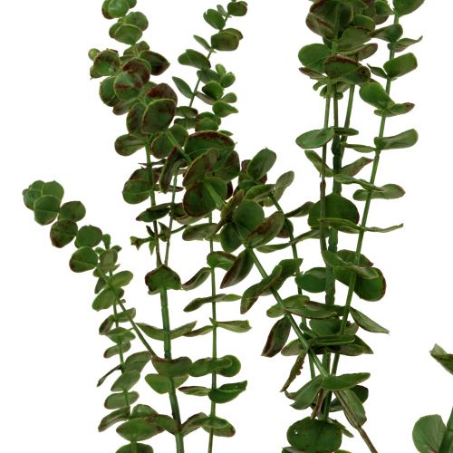Product Eucalyptus branch green 130cm