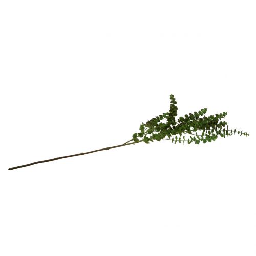 Product Eucalyptus branch green 130cm