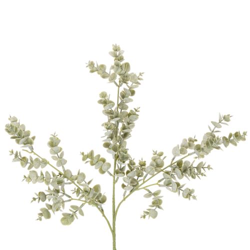 Artificial Eucalyptus Branches Decorative Stems 49cm Green Set of 4 buy online | Floristik24.co.uk