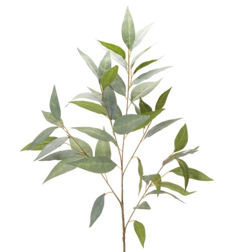 **Artificial Eucalyptus Stem Green 100cm**

```html
<h2>Artificial Eucalyptus Stem for Decorative Use</h2>
<p>
This artificial eucalyptus stem in natural green is a 100cm tall decorative piece designed to enhance your home interiors. Made from high-qualit