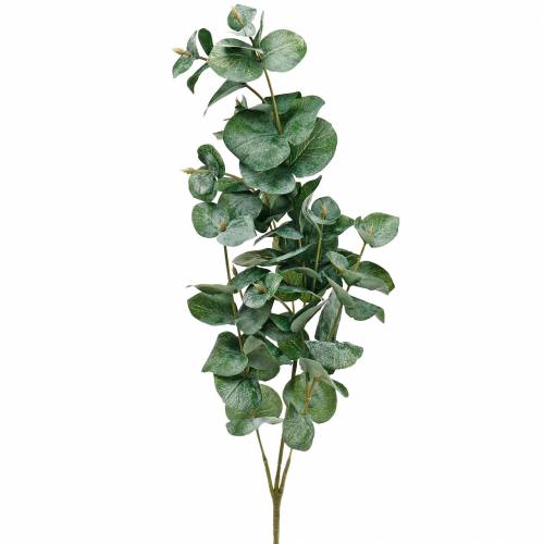 Eucalyptus branch Artificial eucalyptus branch